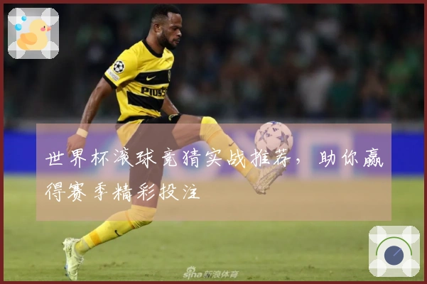 世界杯滚球竞猜实战推荐，助你赢得赛季精彩投注