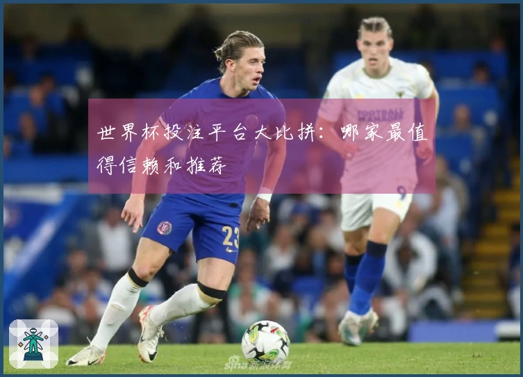 世界杯投注平台大比拼：哪家最值得信赖和推荐