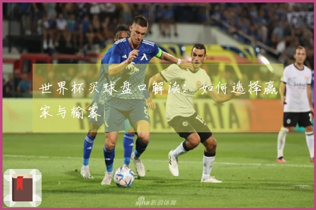 世界杯买球盘口解读：如何选择赢家与输家