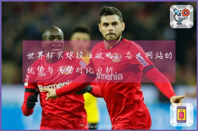 世界杯买球投注攻略：各大网站的优势与劣势对比分析