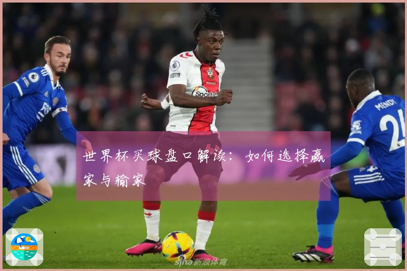 世界杯买球盘口解读：如何选择赢家与输家