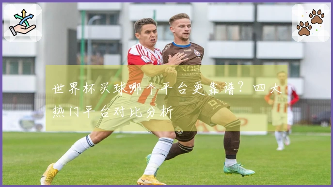 世界杯买球哪个平台更靠谱？四大热门平台对比分析
